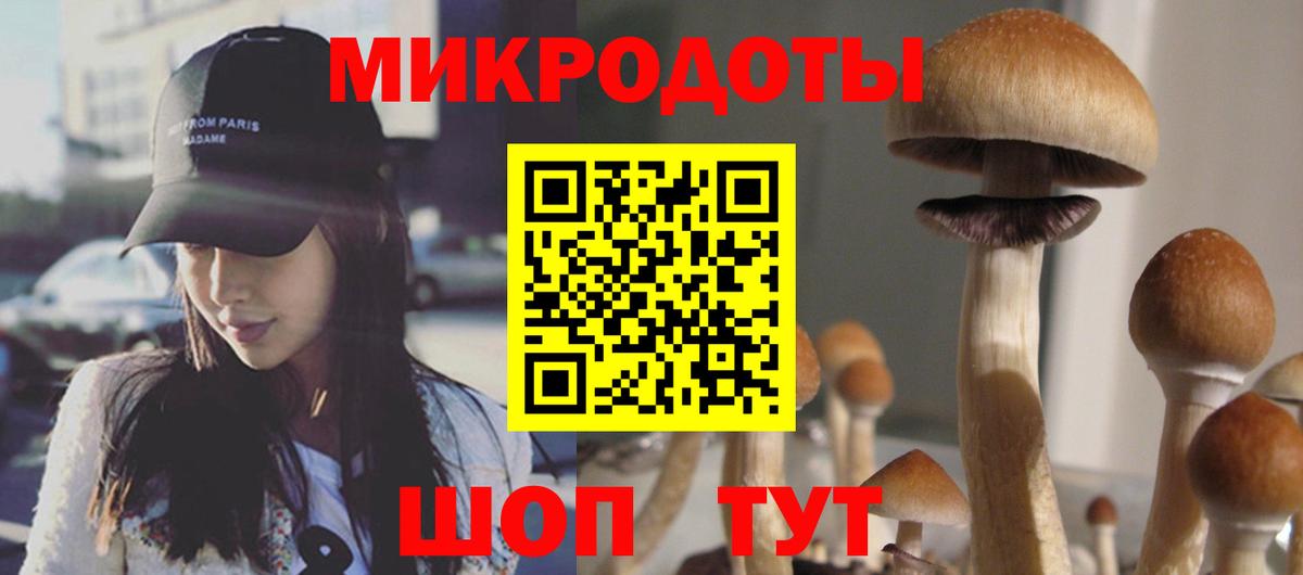 Галлюциногенные грибы Psilocybe  Псилоцибиновые грибы мухоморы  цена   Благодарный 