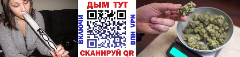 Конопля планчик  Благодарный 
